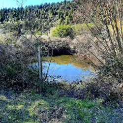 Centro Storico di Sesto Fiorentino - Sesto Fiorentino