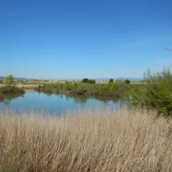 Parco della Piana - Sesto Fiorentino