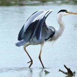 Parco della Piana - Sesto Fiorentino