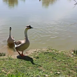 Parco della Piana - Sesto Fiorentino
