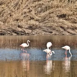 Parco della Piana - Sesto Fiorentino