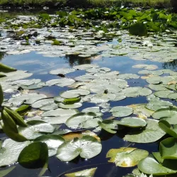 Parco della Piana - Sesto Fiorentino