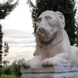 Villa di Poggio Imperiale - Sesto Fiorentino