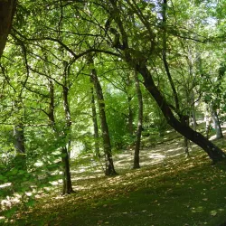 Orto Botanico dell'Università di Siena - Siena