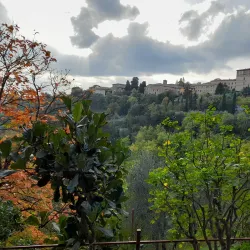 Orto Botanico dell'Università di Siena - Siena
