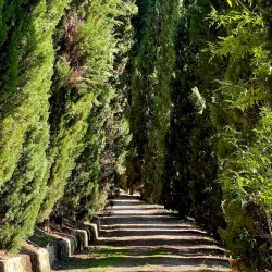 Orto Botanico dell'Università di Siena - Siena