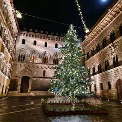Palazzo Salimbeni - Siena