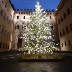 Palazzo Salimbeni - Siena