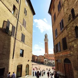 Piazza del Campo - Siena