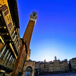 Piazza del Campo - Siena