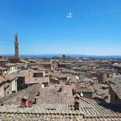 Pinacoteca Nazionale - Siena