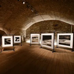 Santa Maria della Scala - Siena