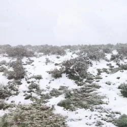 Monte Albo - Siniscola