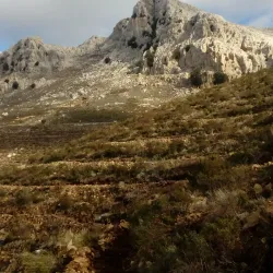 Monte Albo - Siniscola