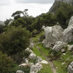 Monte Albo - Siniscola