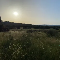 Nuraghe S'ena e Thomes - Siniscola