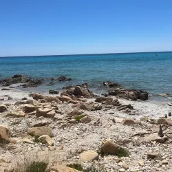 Oasis of Bidderosa - Siniscola