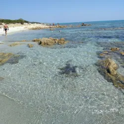 Oasis of Bidderosa - Siniscola