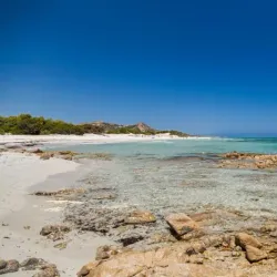 Oasis of Bidderosa - Siniscola