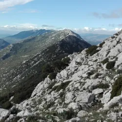 Siniscola Town Center - Siniscola