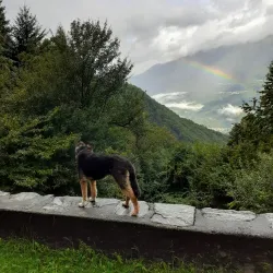 Chiesa di San Giorgio - Sondrio