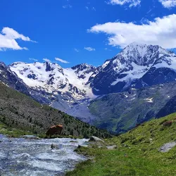 Stelvio National Park - Sondrio