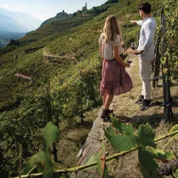 Valtellina Wine Route - Sondrio