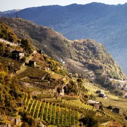 Valtellina Wine Route - Sondrio