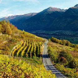 Valtellina Wine Route - Sondrio