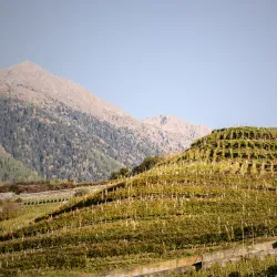 Valtellina Wine Route - Sondrio