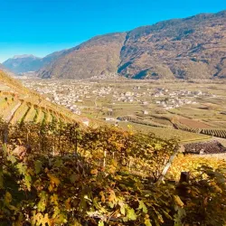 Via dei Terrazzamenti - Sondrio