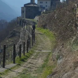 Via dei Terrazzamenti - Sondrio