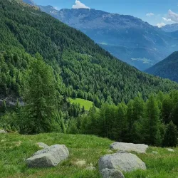 Via dei Terrazzamenti - Sondrio