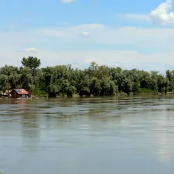 Fiume Po (Po River) - Stradella