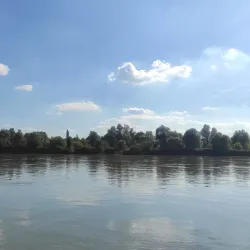 Fiume Po (Po River) - Stradella