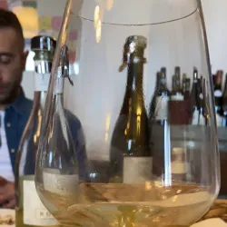 Local Wineries and Vineyards - Stradella