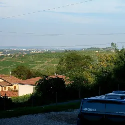 Local Wineries and Vineyards - Stradella