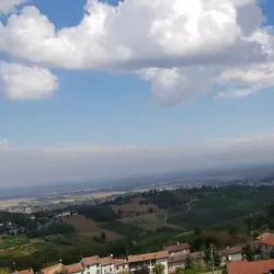 Local Wineries and Vineyards - Stradella