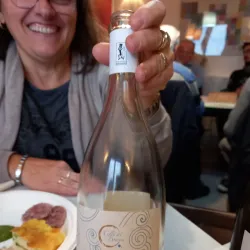 Local Wineries and Vineyards - Stradella