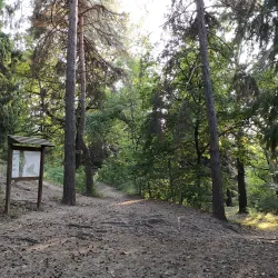 Parco della Rimembranza - Stradella