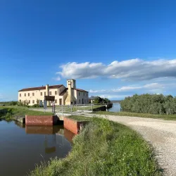 Birdwatching in Valle Millecampi - Taglio di Po (Rovigo)
