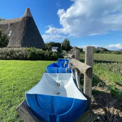 Birdwatching in Valle Millecampi - Taglio di Po (Rovigo)