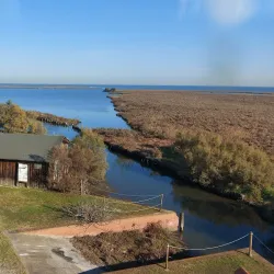 Birdwatching in Valle Millecampi - Taglio di Po (Rovigo)