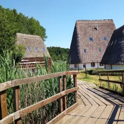 Birdwatching in Valle Millecampi - Taglio di Po (Rovigo)