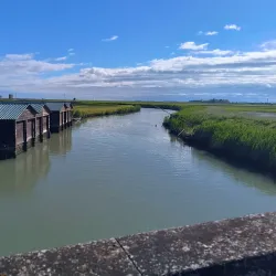 Birdwatching in Valle Millecampi - Taglio di Po (Rovigo)