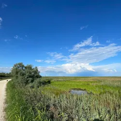 Birdwatching in Valle Millecampi - Taglio di Po (Rovigo)