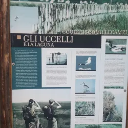 Birdwatching in Valle Millecampi - Taglio di Po (Rovigo)