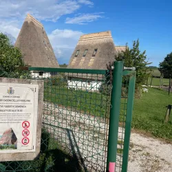 Birdwatching in Valle Millecampi - Taglio di Po (Rovigo)