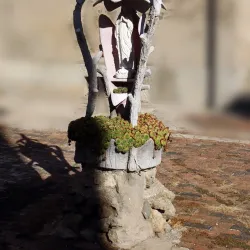 Church of San Michele Arcangelo - Taglio di Po (Rovigo)