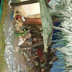 Church of San Michele Arcangelo - Taglio di Po (Rovigo)